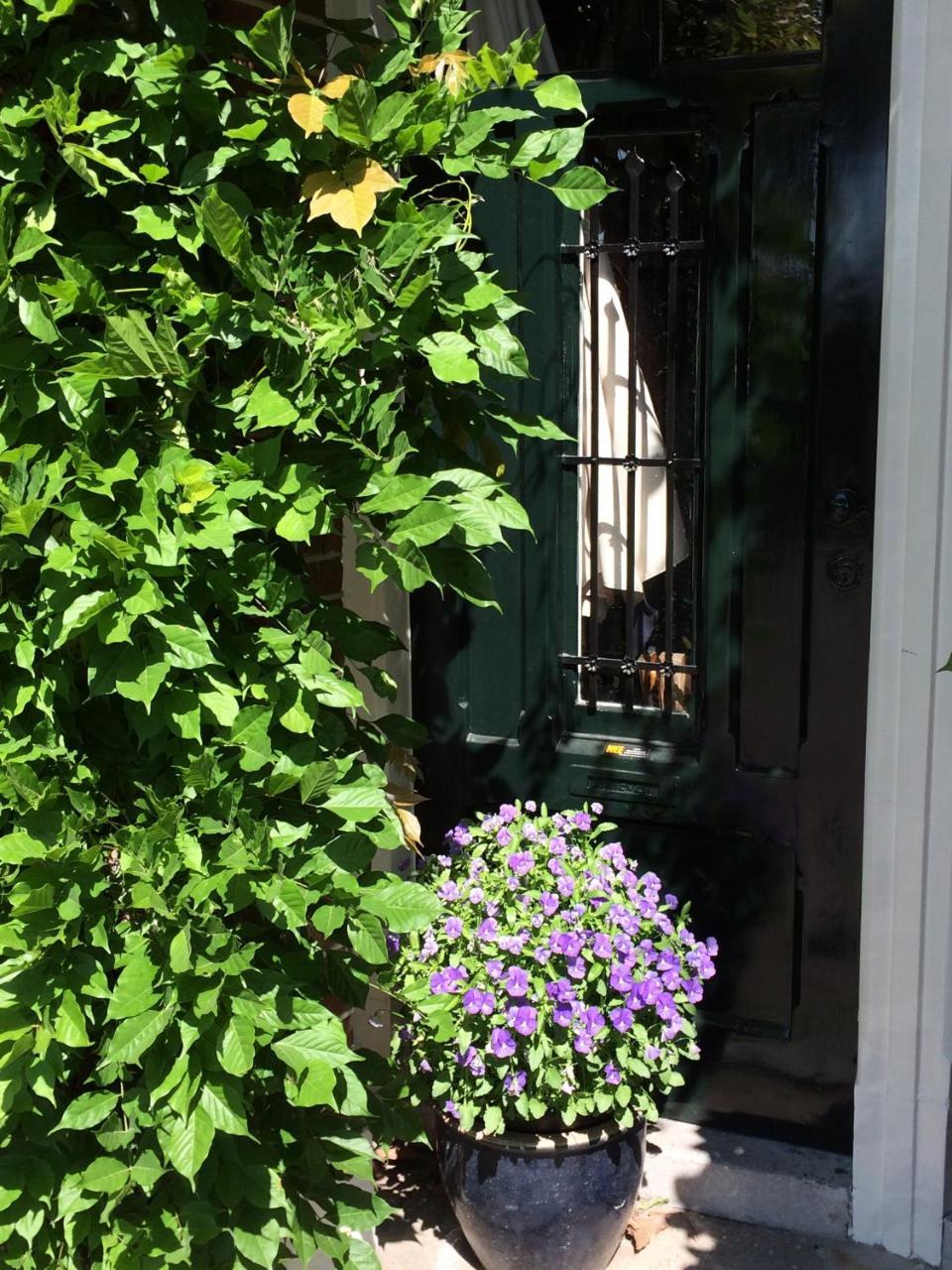 B&B Muntzicht Utrecht Esterno foto